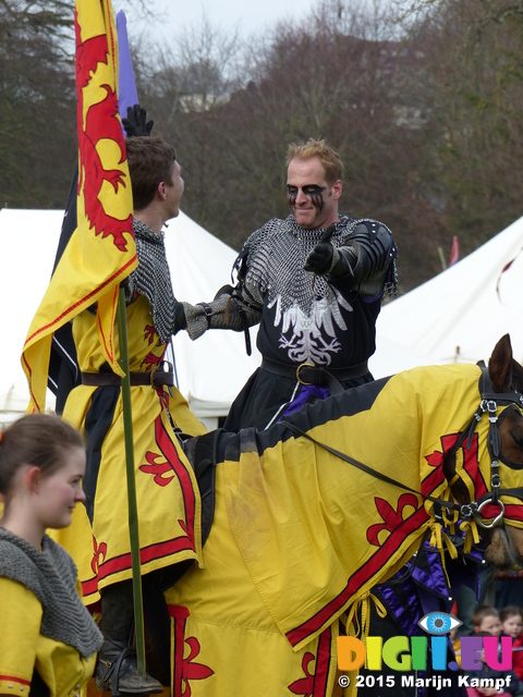 FZ013159 Yellow and black knights